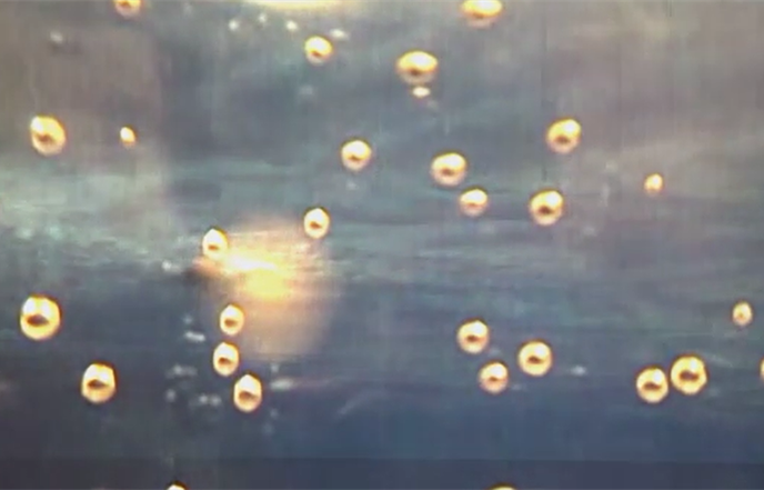 "Himna slobodi" u izvedbi Otpisanog klana