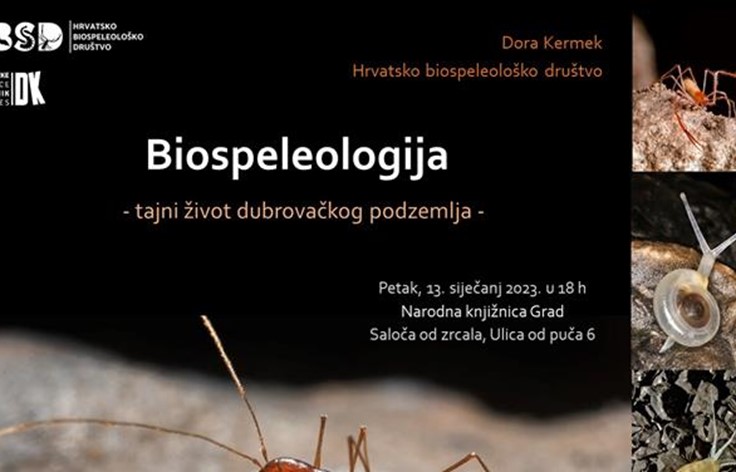 Predavanje Dore Kermek na temu "Biospeleologija: tajni život dubrovačkog podzemlja"