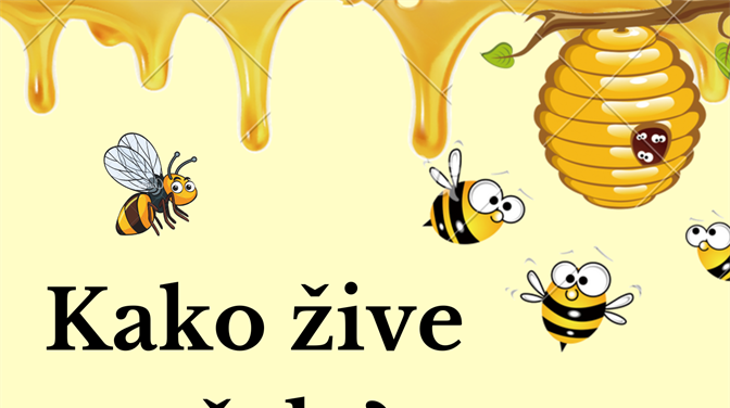 Kreativno-edukativna radionica "Kako žive pčele?" za djecu (5-10 god)
