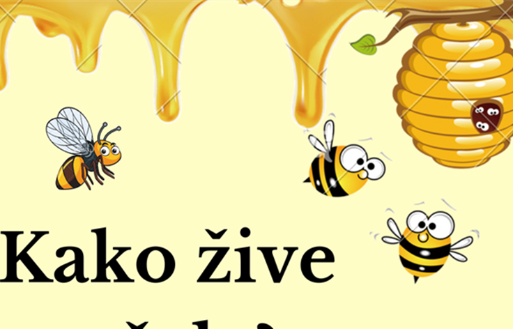 Kreativno-edukativna radionica "Kako žive pčele?" za djecu (5-10 god)